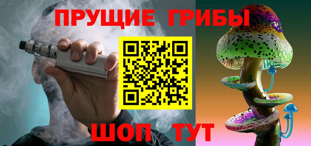 Псилоцибиновые грибы мицелий Изобильный