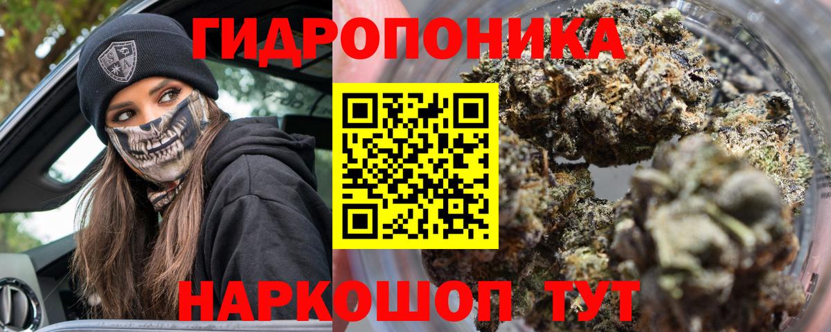 Канабис семена  Шишки марихуана конопля  Изобильный  Вход с VPN  Бошки Шишки OG Kush 